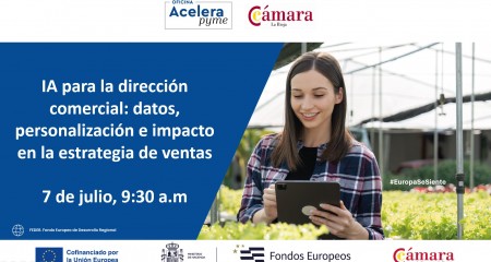 IA para direcci�n comercial